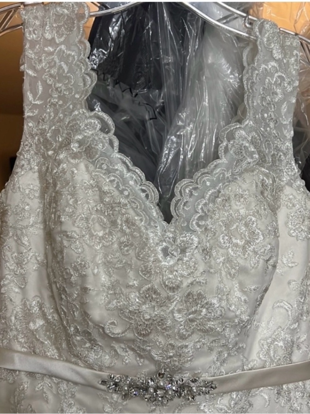 Elegant Ivory/Oyster Lace Wedding Dress with Belt - Picture 7 of 9